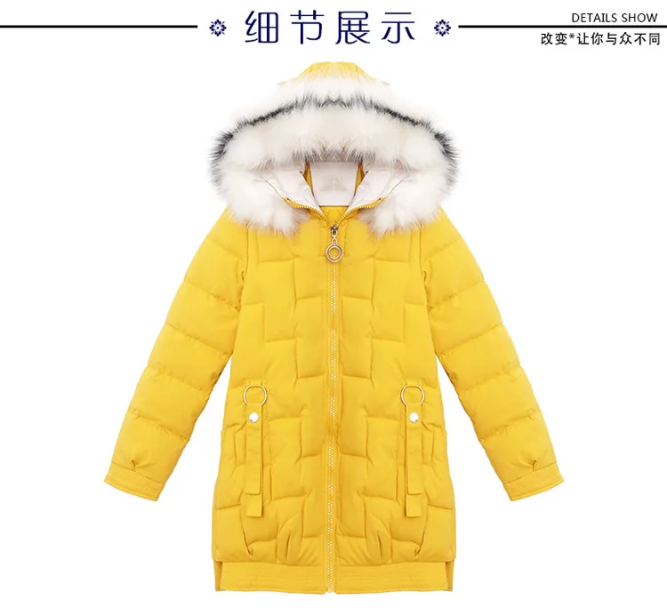 New Padded Jacket Fashion Winter Jacket Women Thick Down Parkas female Slim Fur Collar Winter Warm Coat For Women