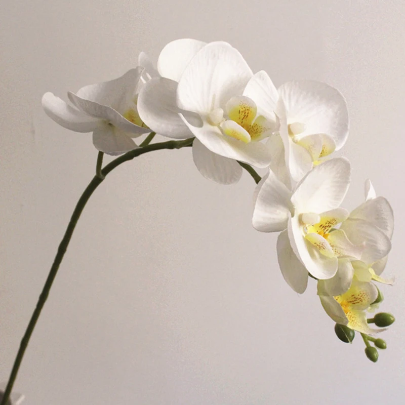 

Artificial Butterfly Orchid Phalaenopsis Fake Flower Home Wedding Party Decor