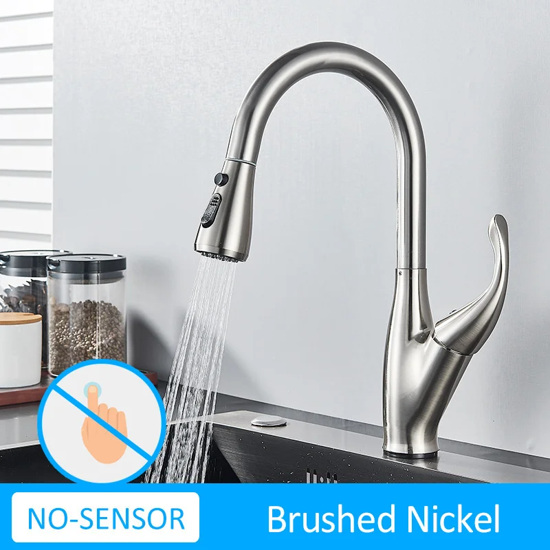 No-Sen-Brush Nickel