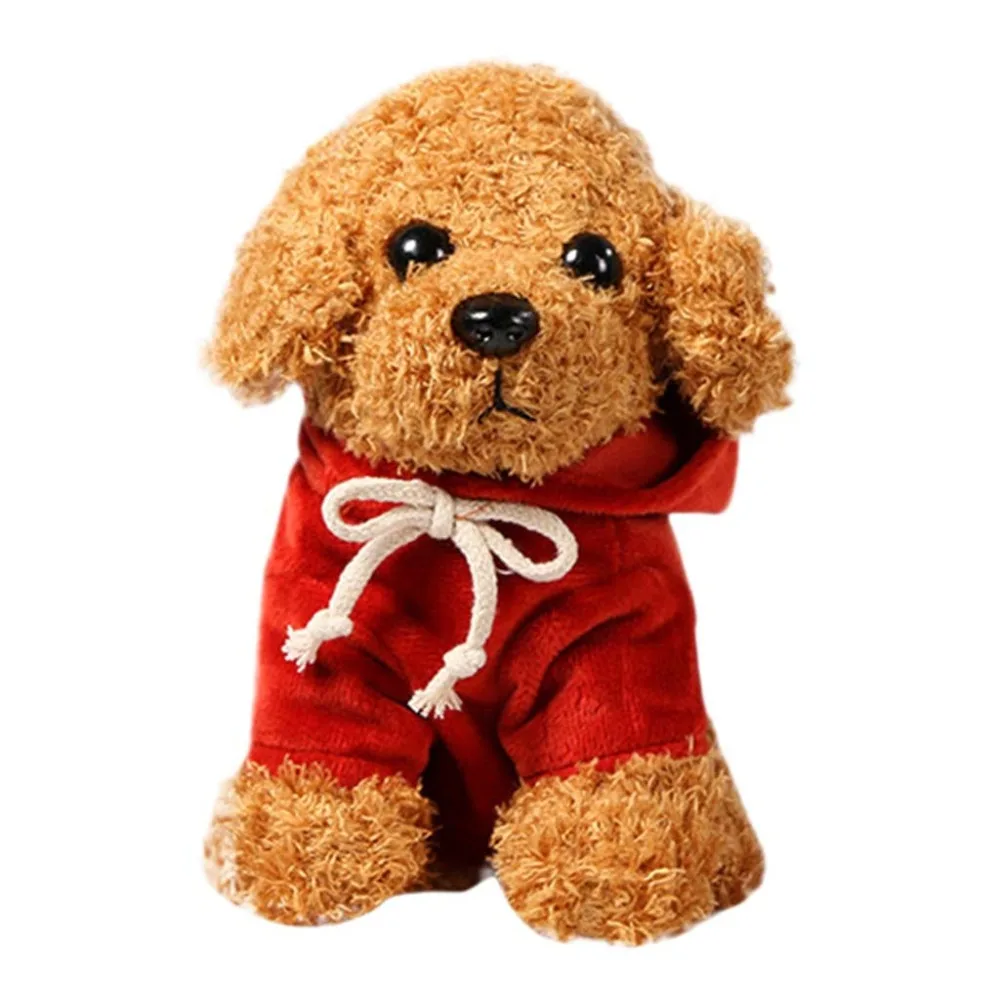 Teddy Dog Rag  (25)