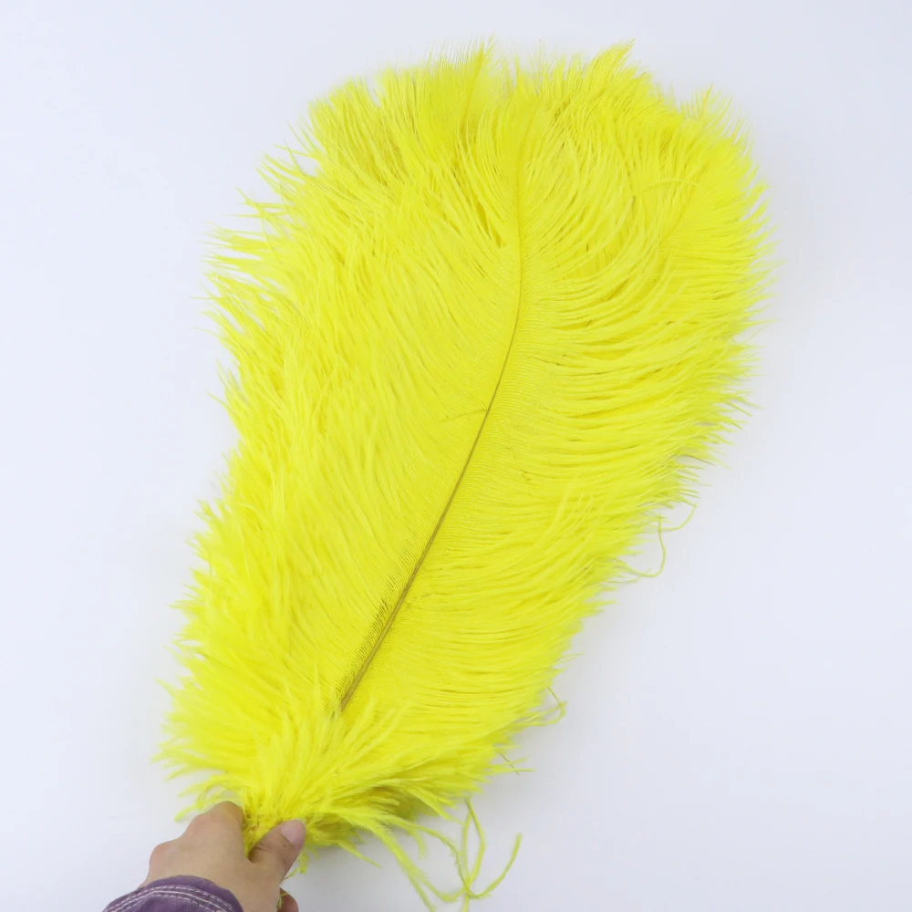 TS0145009 45-50cm ostrich feathers 4