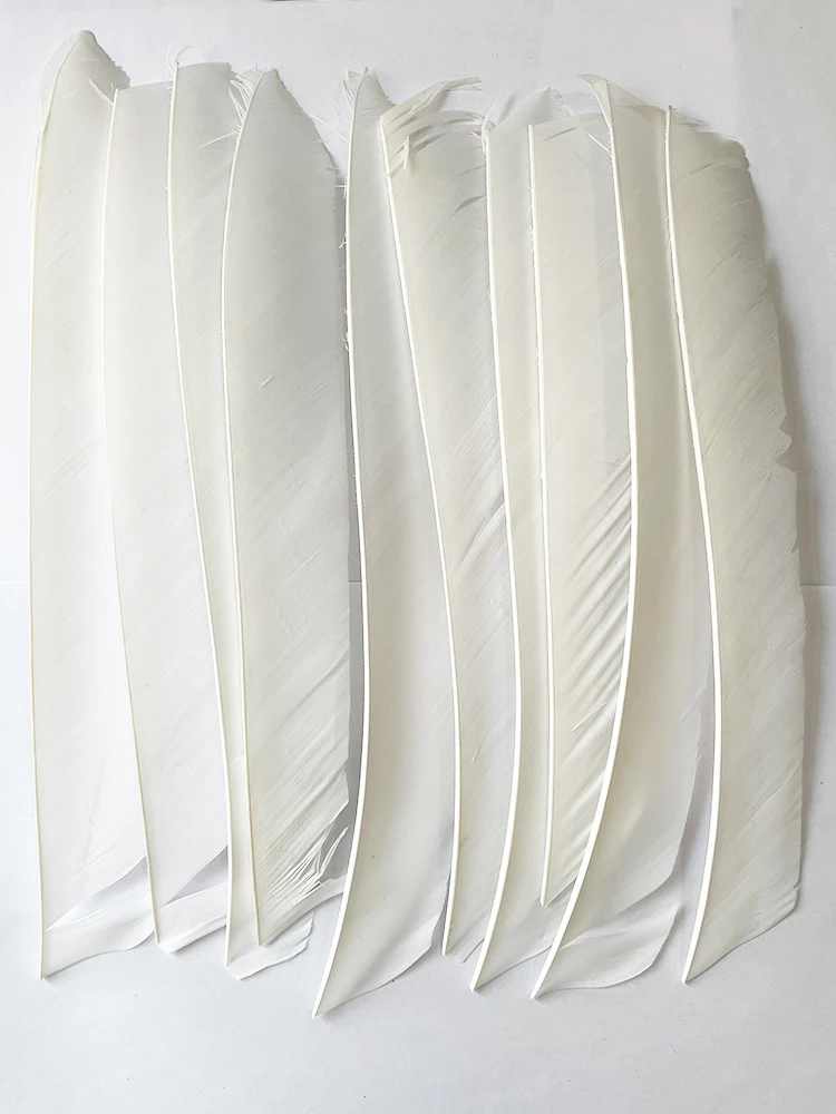 50Pcs 7-10Inch Archery Arrow Fletching Full Length No Cut Colored Turkey Feather for Arrow Vanes Hunting DIY Accessories RW 3