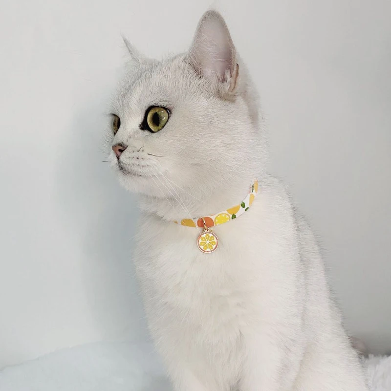 23448179200_1199050608