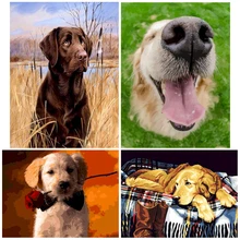 

PhotoCustom Painting By Number Dog Drawing On Canvas HandPainted Painting Art Gift DIY Pictures By Number Animal Kits Home Decor