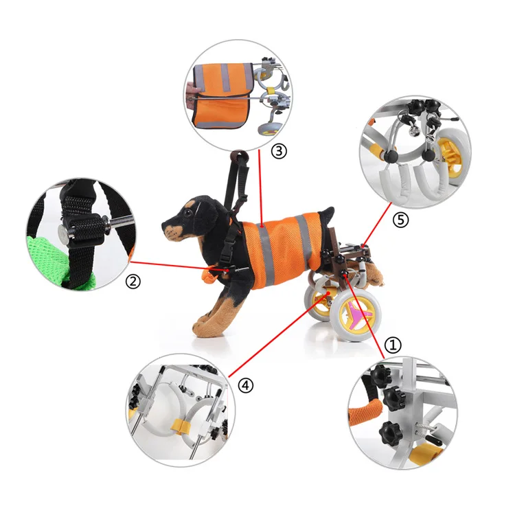 Silla de ruedas para perros y mascotas de 2 ruedas, carrito auxiliar de  aluminio para caminar, Scooter para patas traseras para discapacitados  CJC02