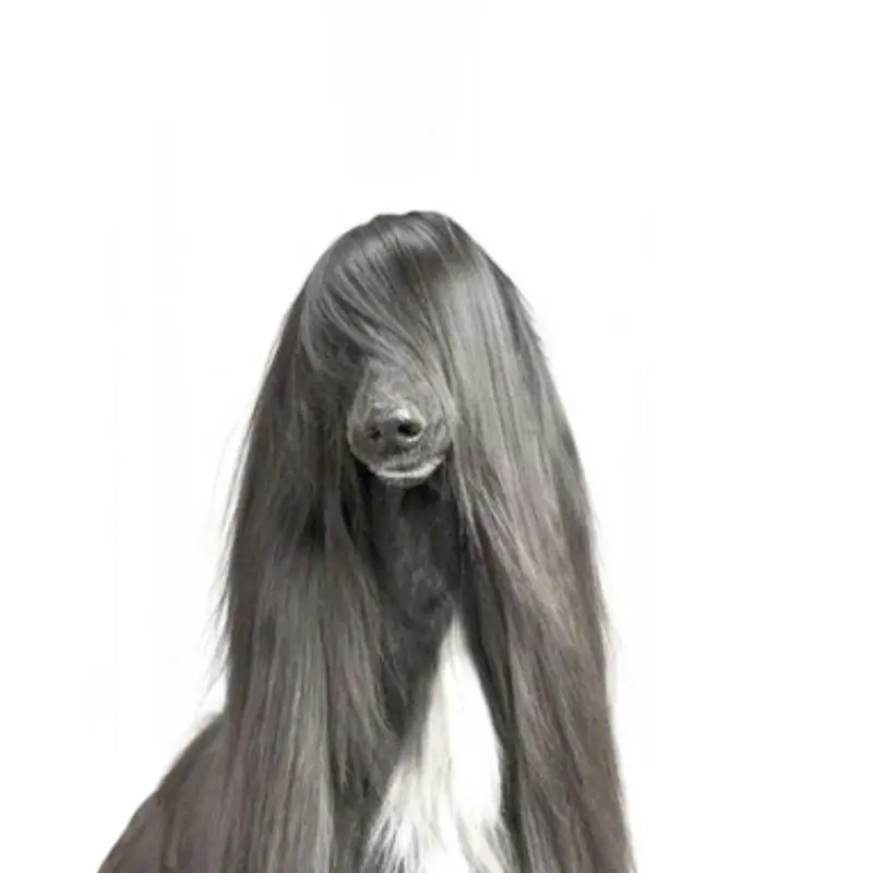 Собака Профессиональный уход за домашними животными расческа из нержавеющей стали Массажная щетка для длинных волос запутанная расческа
