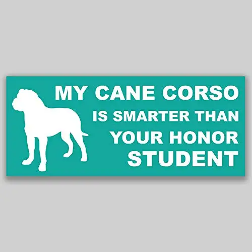 Для My Cane Corso умнее, чем ваша честь, Студенческая виниловая наклейка стикер для окна автомобиля бампер 2-Pack качество УФ-защита