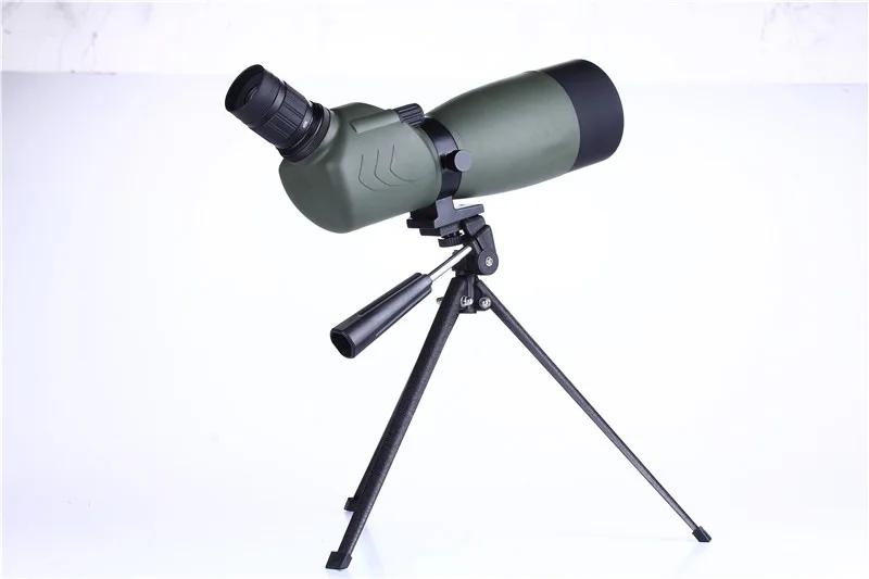 4237028048_758856609