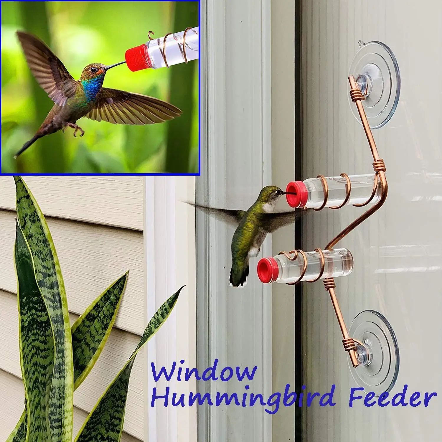 Window Hummingbird Feeder New Sweet Feeders Creative Animal Feeder Window Suction Cup