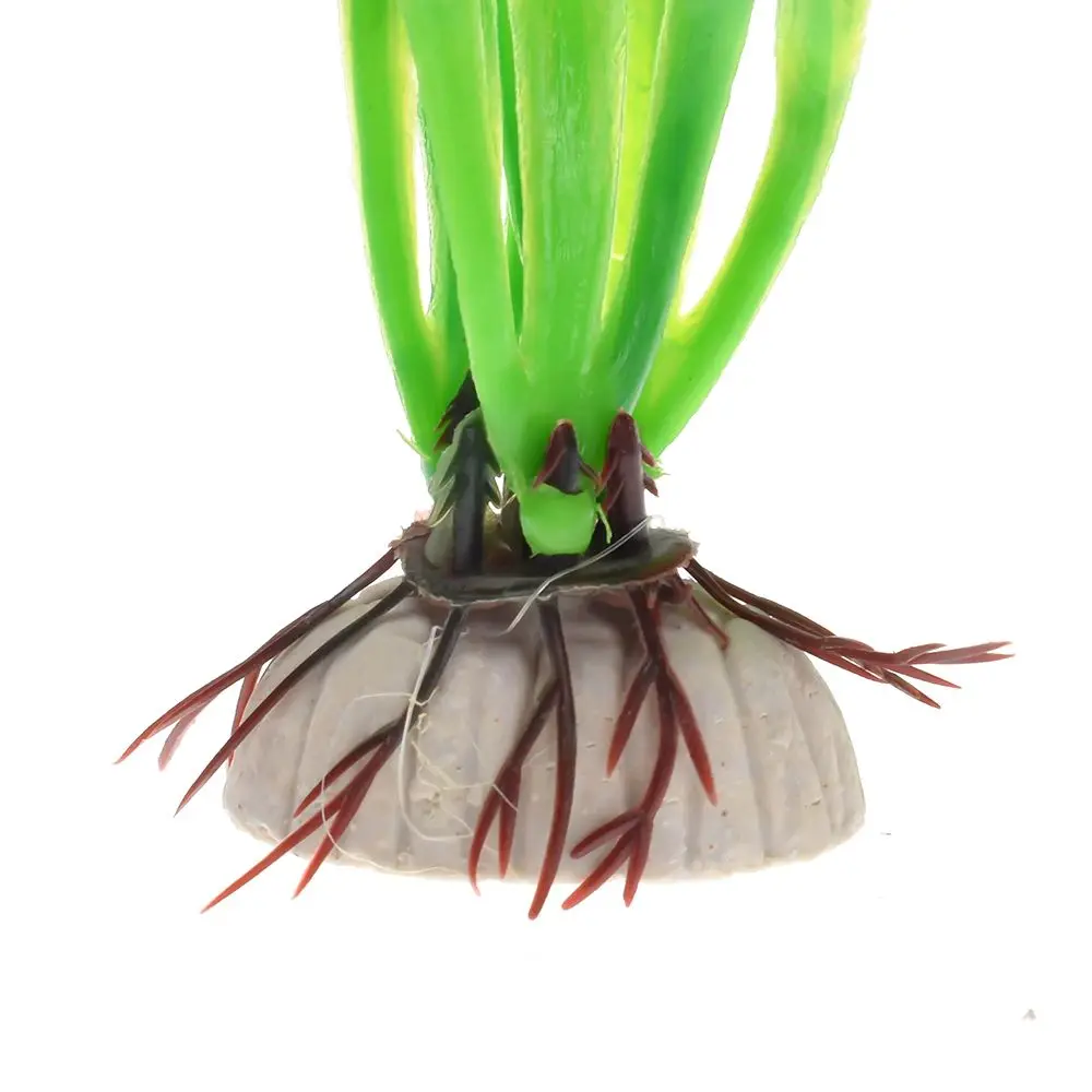 TZ1521874984_DSC_5845