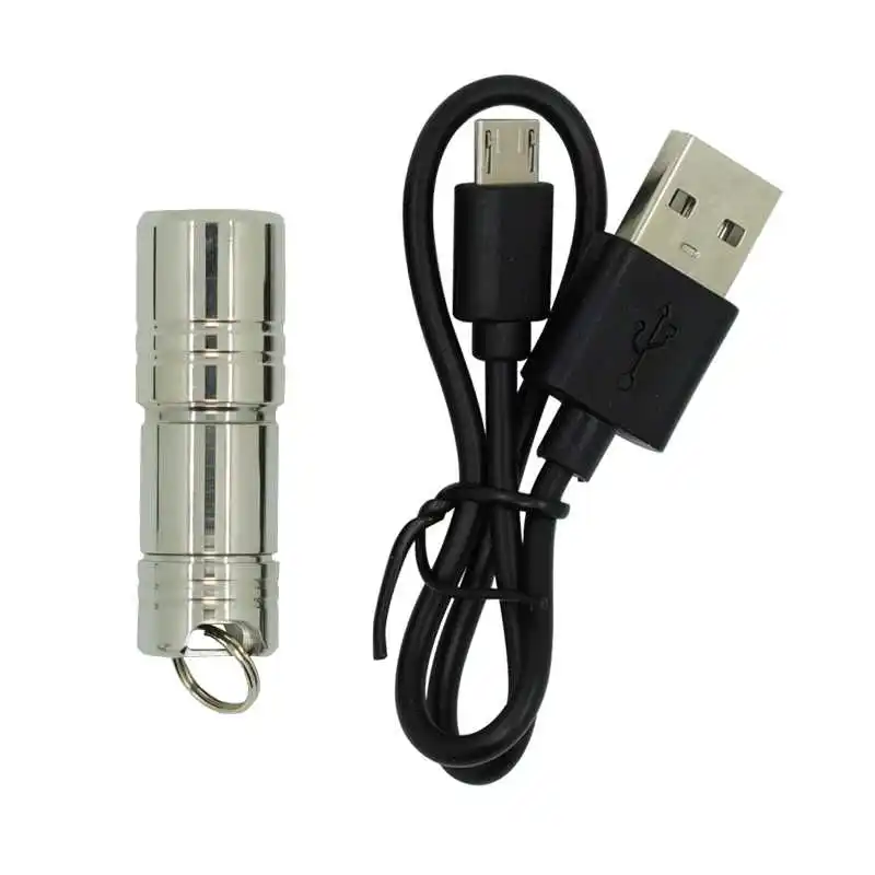 Wasafire супер маленький светодиодный фонарь Нержавеющая сталь мини фонари USB
