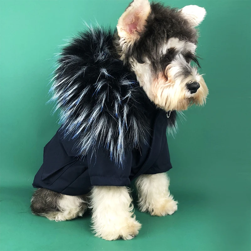 Only Black Jacket Зимняя одежда для собак, одежда для маленьких собак, одежда для домашних животных, пуховик с французским бульдогом, костюм для мопса, одежда для щенков PC1382 - Цвет: Only Black Jacket