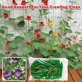 

2pcs grid support network Fruit Vegetable Flower Vine Plants Climbing Net Garden Cucumber Plaid Netting Support plant growth