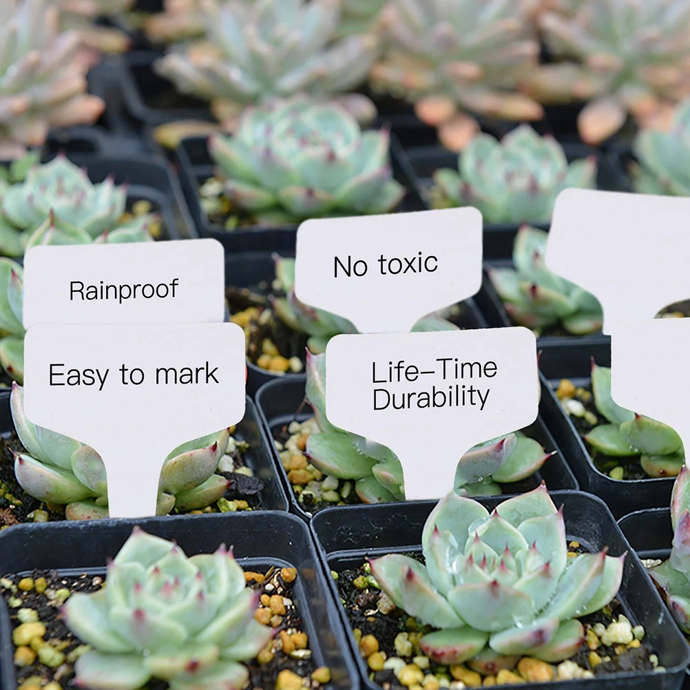 100Pcs PVC Garden Labels White Gardening Plant Sorting Sign Tag Ticket Plastic Writing Plate Board Plug 6