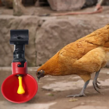 

Chicken Water Drinker Hanging Cup Drinking Bowl Feeder Coop 10PCS/Set Farm Animal Feed Automatic Bird Poultry Poulailler 2020