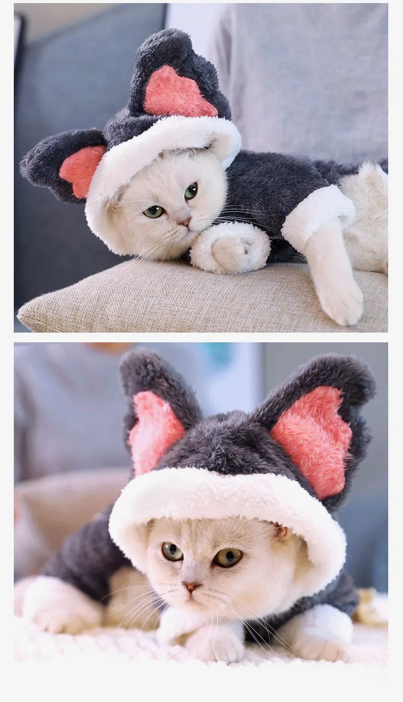 O1CN01ZjOojg1q0oh9CNgun_!!2019505434