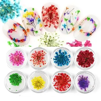 

12 Colors Rainbow Nail Art Real Natural Plant Petal Salon Tip Flower Nail Decorations For UV Effect Gel Hot Selling 3D Drie T1T0