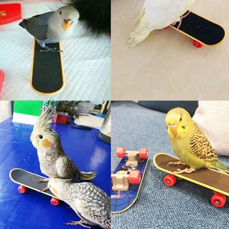 5Pcs/Set Parrot Training Toys Mini Shopping Cart Training Rings Skateboard Stand Perch Chewing Toy Cockatiel Pet Bird Supply