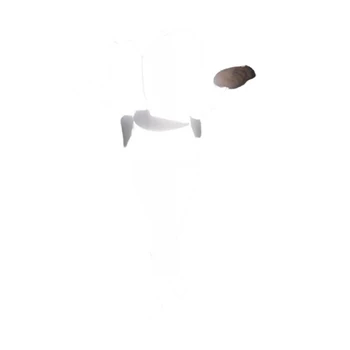 

Women Coat Reflective Color Full Length Regular Sleeve Solid Color Turn-down Hooded Collar Zipper Loose Street Style Coat