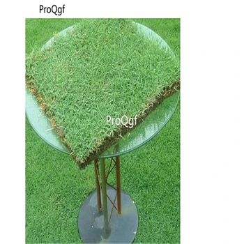 

Ngryise 50000Pcs A Set Cynodon dactylon