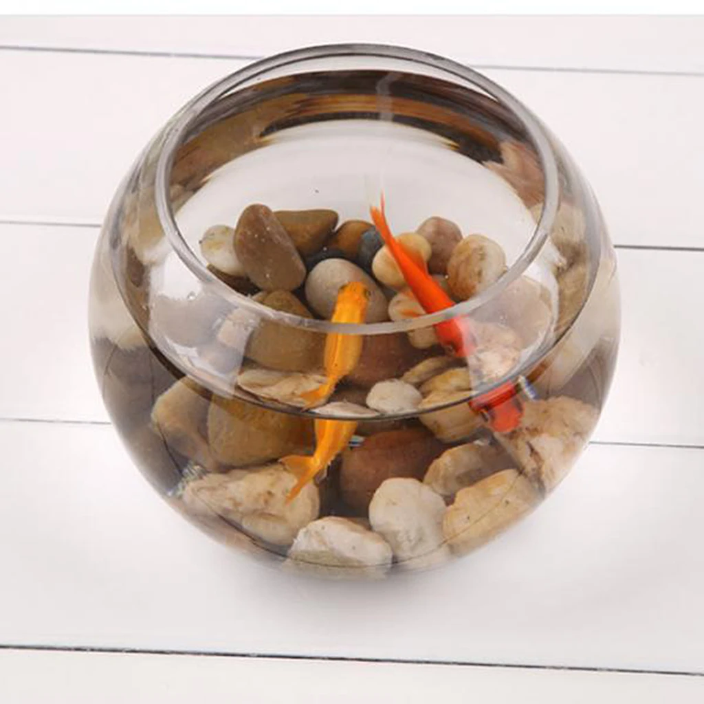 Goldfish Bowl Drum Style Fishbowl - Aquarium Fish Tank for Fishes Shrimp Plants Goldfish Bowl Drum Style Fishbowl - Aquarium Fish Tank for Fishes Shrimp Plants
