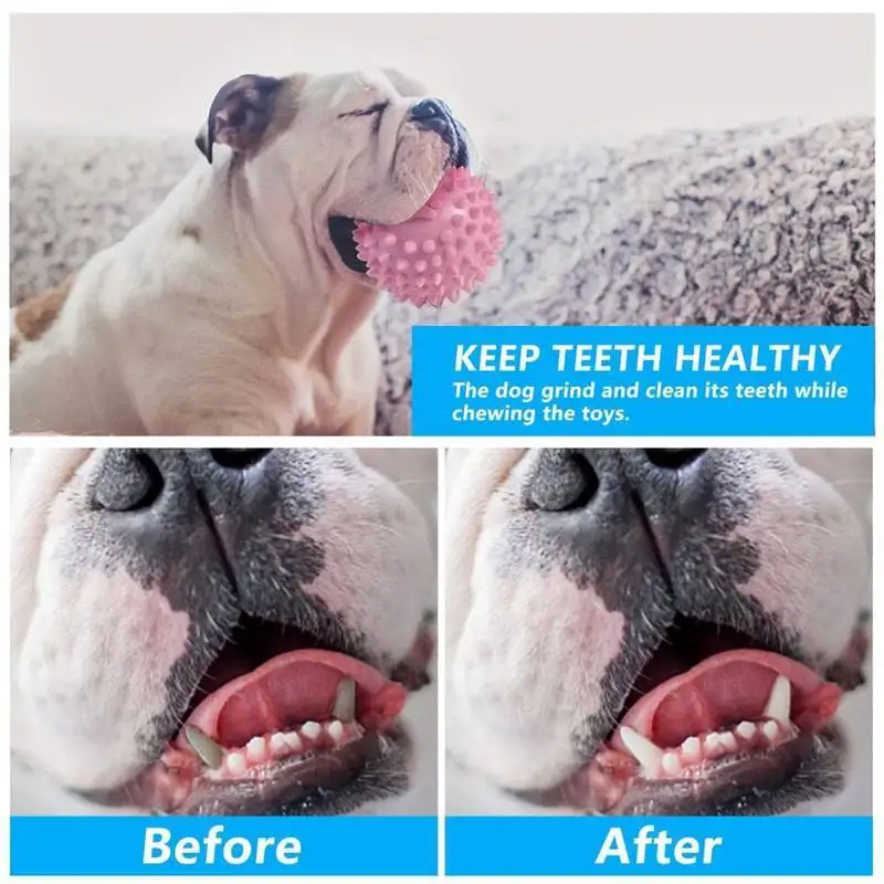 giochi cane.jpg_.webp