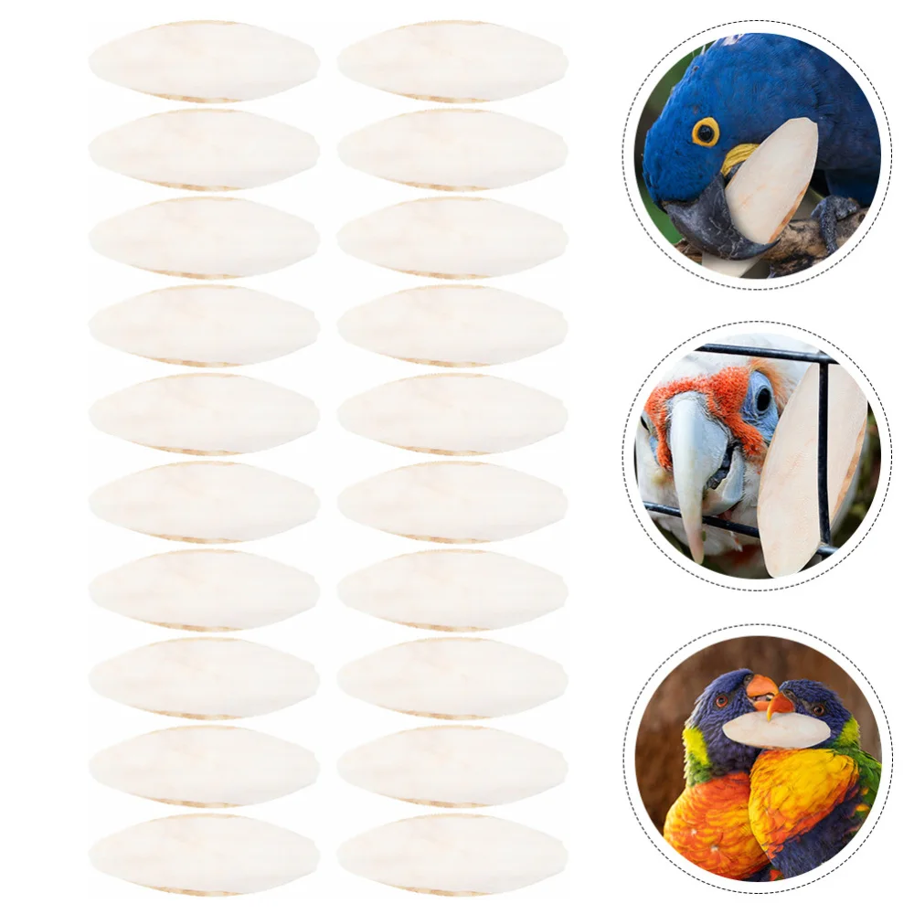 Cuttlebone Bird Bone Parrot Cuttlefishchew Bite Birds Natural Chewing Toys Parakeet Cuddle Pet Bonestortoise Cage Teether