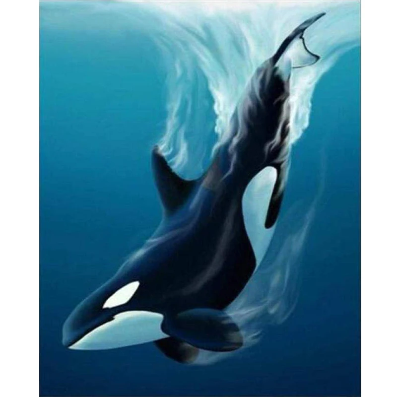 Framed Oil Picture By Numbers Kits For Adults Dolphin whale Paint Diy Gift HandPainted Modern Home Decor Craft | Дом и сад