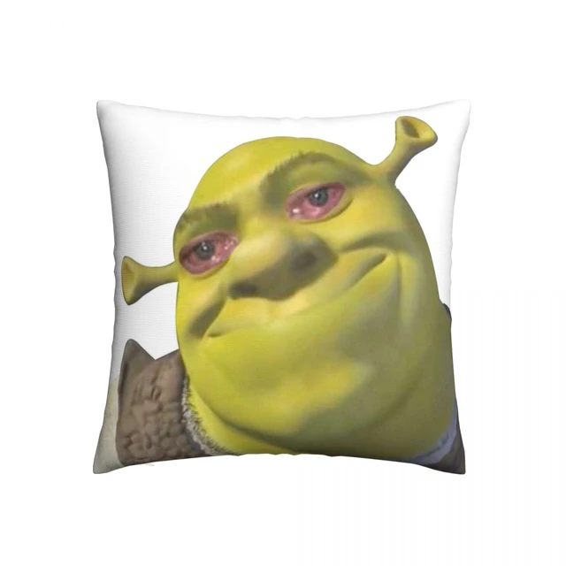 Shrek Meme Pillow Case Printed 35x50 Shrek Shrek Meme Shrek Meme Face -  AliExpress