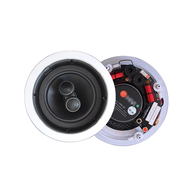 Ceiling Speaker High Quality Sound 8 Ohm 205mm 250mm Cutout Size Dual
