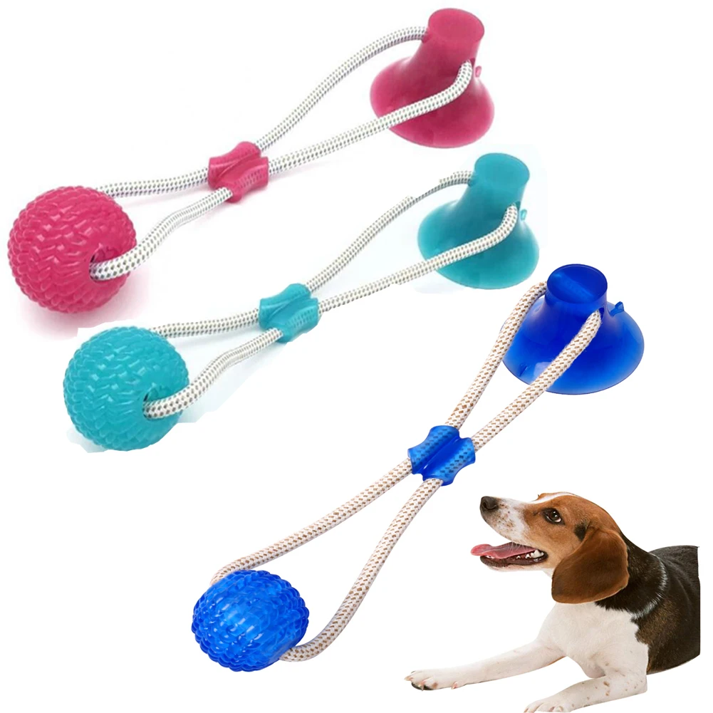 Pet Supplies : CZPET Puppy Toys 6PCS Set Puppy Chase Toys Pet