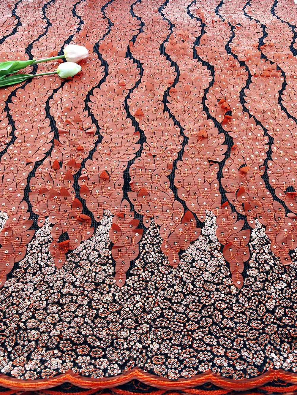 IMG_2841(20191115-113434)