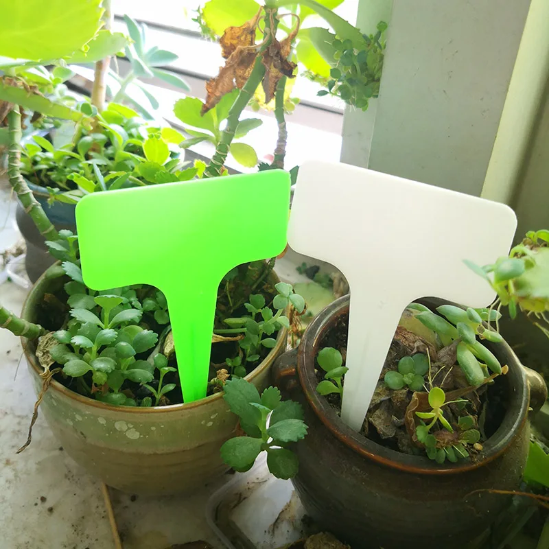 Waterproof Garden Nursery Plant Labels Flower Nursery Flower Tag Gardening Ornaments Plastic White Green T-Type Marker
