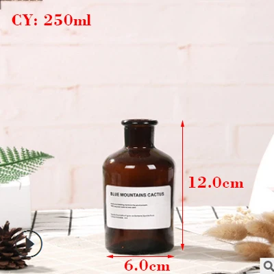 Nordic Style Retro Transparent Brown Glass Bottle Bedroom Vase Desktop Photography Accessories Studio Photo Backdrop Ornamen 12x6cm