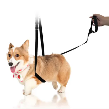 

Adjustable Dog Grooming Belly Strap Pet Bathing Restraint Band With D-Rings Pet Traction Belt Pet Harness Pet Grooming Rope