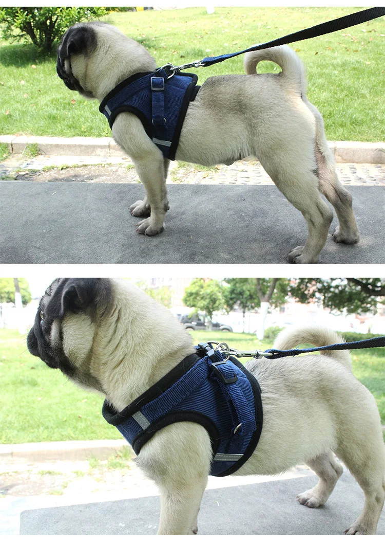 11175443600_609020808