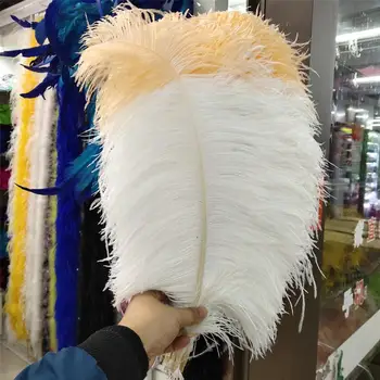 

New 50Pcs 22-24 inch/55-60cm White and Champagne "thick stem" male ostrich feathers Plumes for Party Home Wedding Decoration