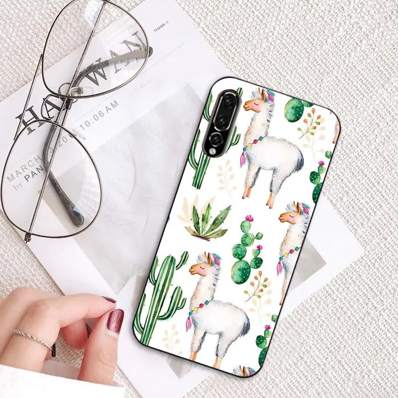 Cartoon Lama Llama Alpacas Animal