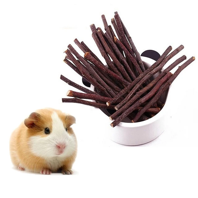 Guinea Pig Chew Sticks