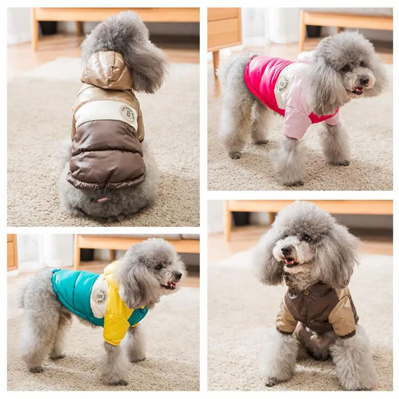 Jaqueta com capuz impermeável para cães pequenos