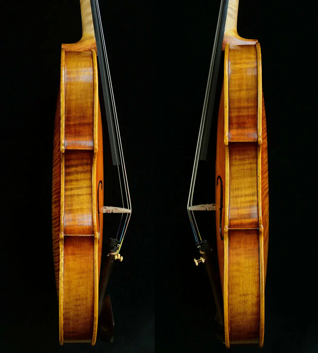 Настоящая фотография удивительно исключительная скрипка! Собственная работа