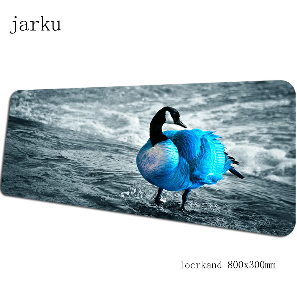 Size 800x300X3MM Птицы геймерский коврик для мыши 800x300X3 мм игровой коврик для мыши большой аниме ноутбук аксессуары для ПК Новое поступление ноутбук padmouse эргономичный коврик - Цвет: Size 800x300X3MM