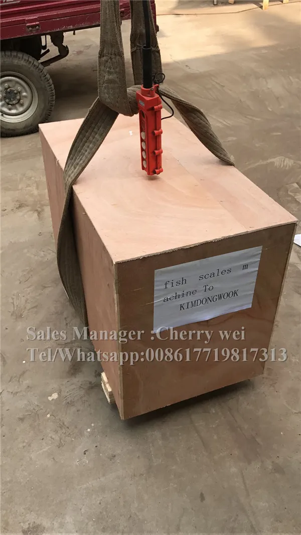 30s быстрая шкала времени AliExpress золотой поставщик электроочиститель рыбы машина для скручивания рыбы