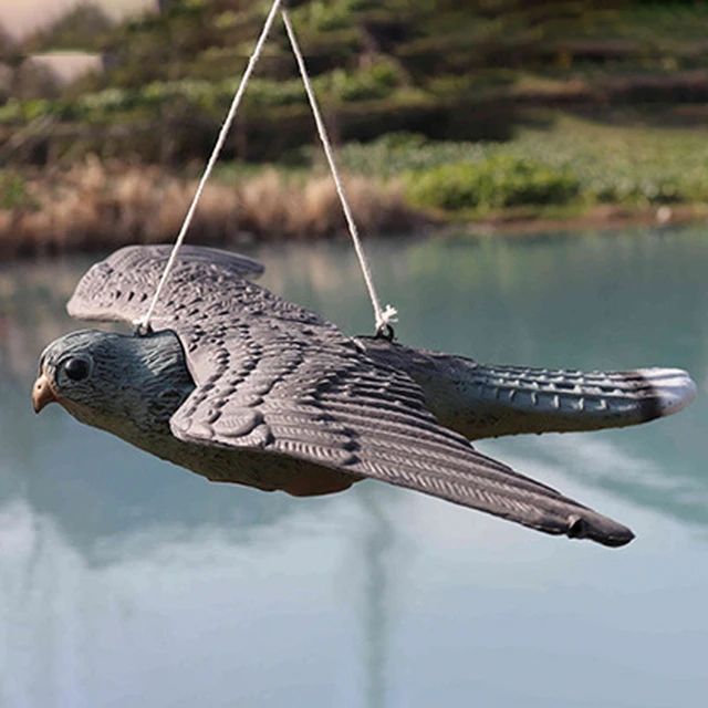 1Pc 70*43*13Cm Realisztikus Hamis Repülő Hawk Díj -Csaló Madár Galamb Varjú Scarer Madárijesztő Otthon Kert Dekoratív Dieter - Image 3