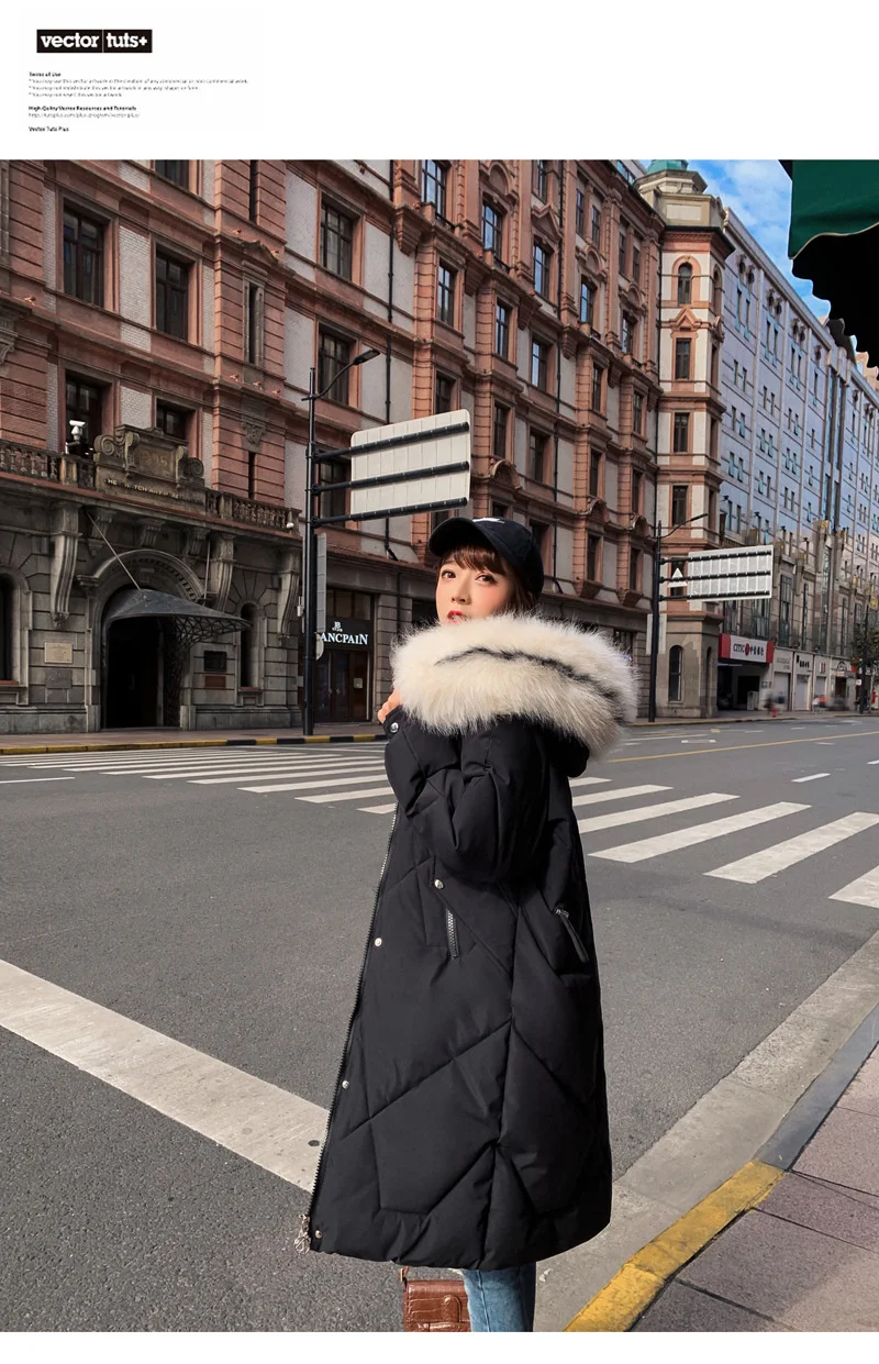 11535078448_822615558