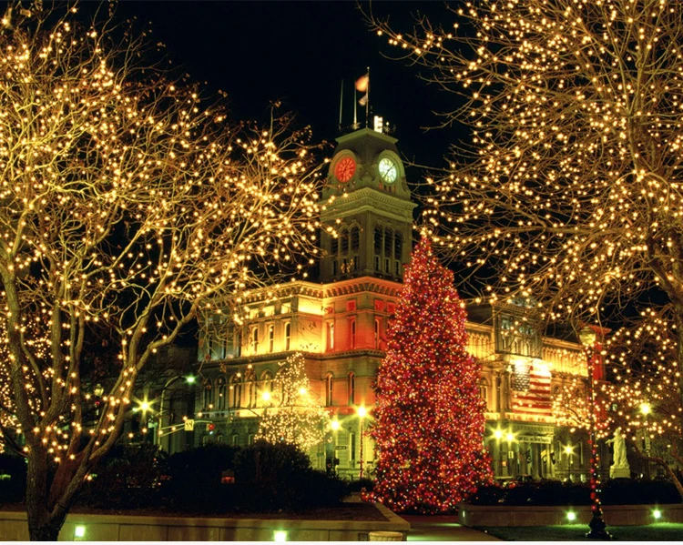 12997326003_1548145678