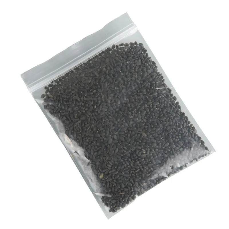 10 г Catnip Seed Catnip игрушка для выживания семена растений кошка товары для кошек 3000 зерна для домашних кошек