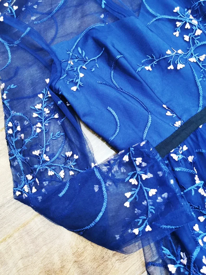 Цянь Хан Цзы весна лето дизайнерское Модное Длинное Платье женское с длинным рукавом Элегантное синее Сетчатое платье макси с вышивкой