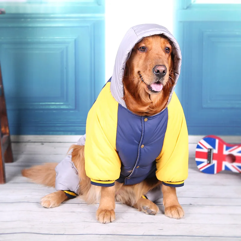 patagonia dog vest