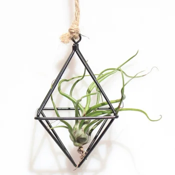 

New Freestanding Hanging Planters Geometric Swing Wrought Iron Tillandsia Air Plants Holder Triangular Shaped Metal Rack